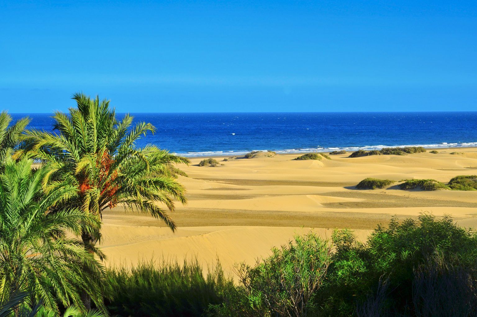 Vuelos Santiago Las Palmas | easyDest.com