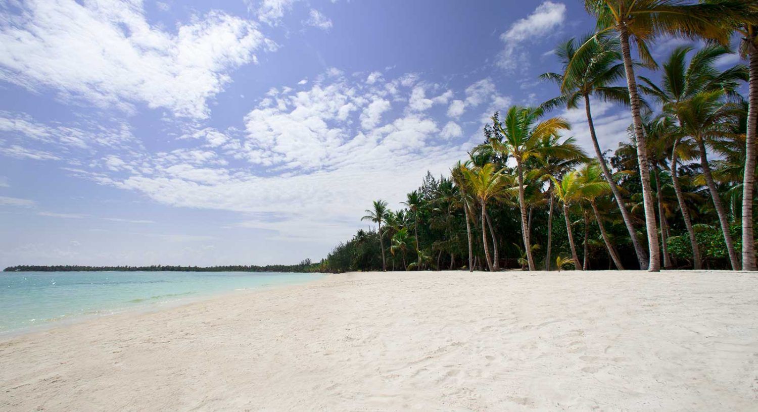 que-ver-en-punta-cana