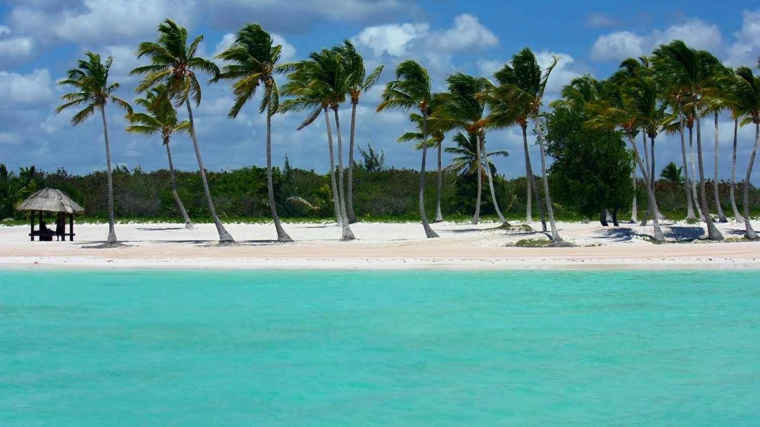 que-ver-en-punta-cana