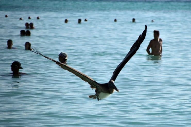 que-ver-en-la-riviera-maya-en-7-dias