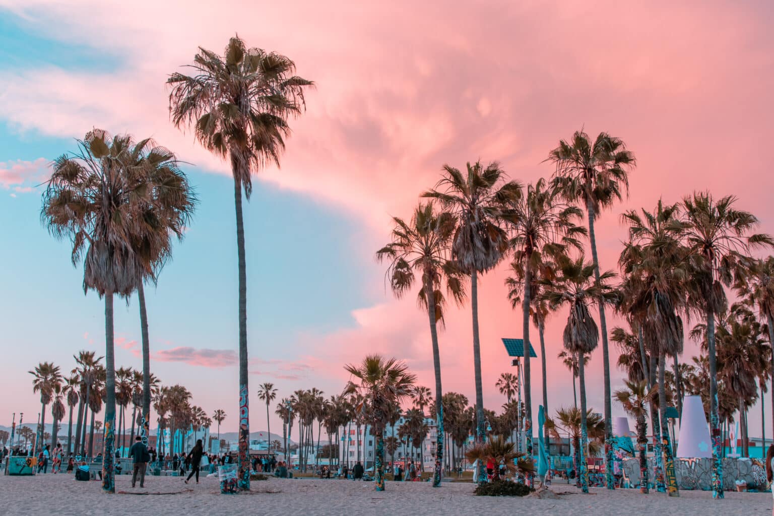 Los Angeles - palmeras