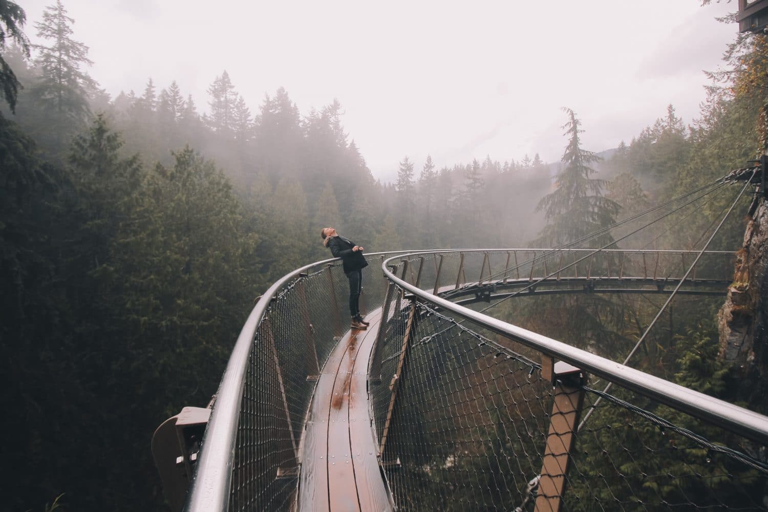 Capilano Suspension Bridge 2