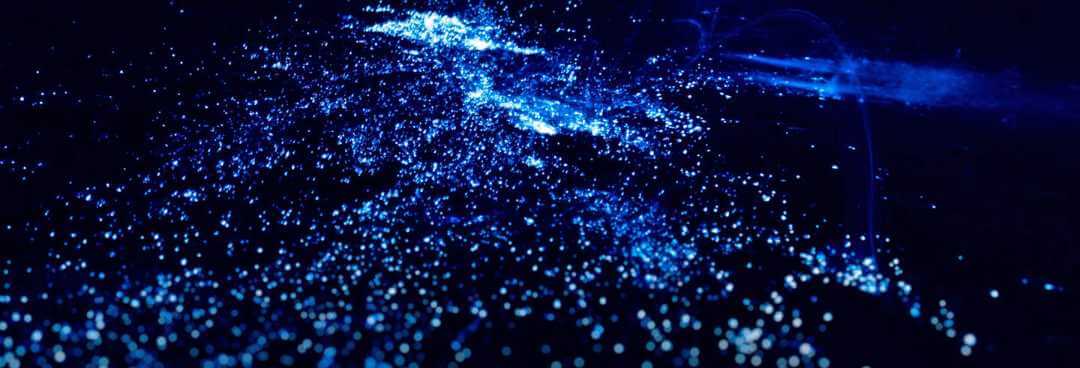 Isla de Múruca, plancton luminoso