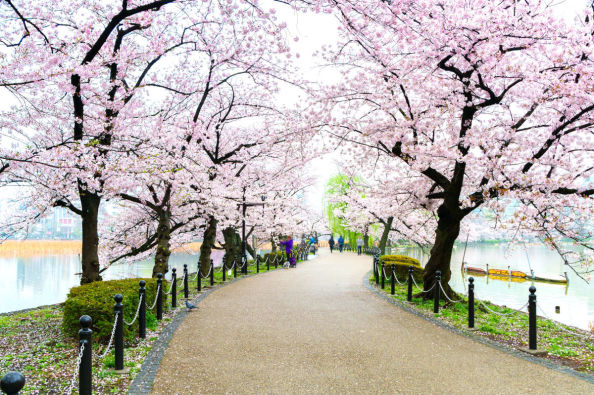 Dónde alojarse en Tokio