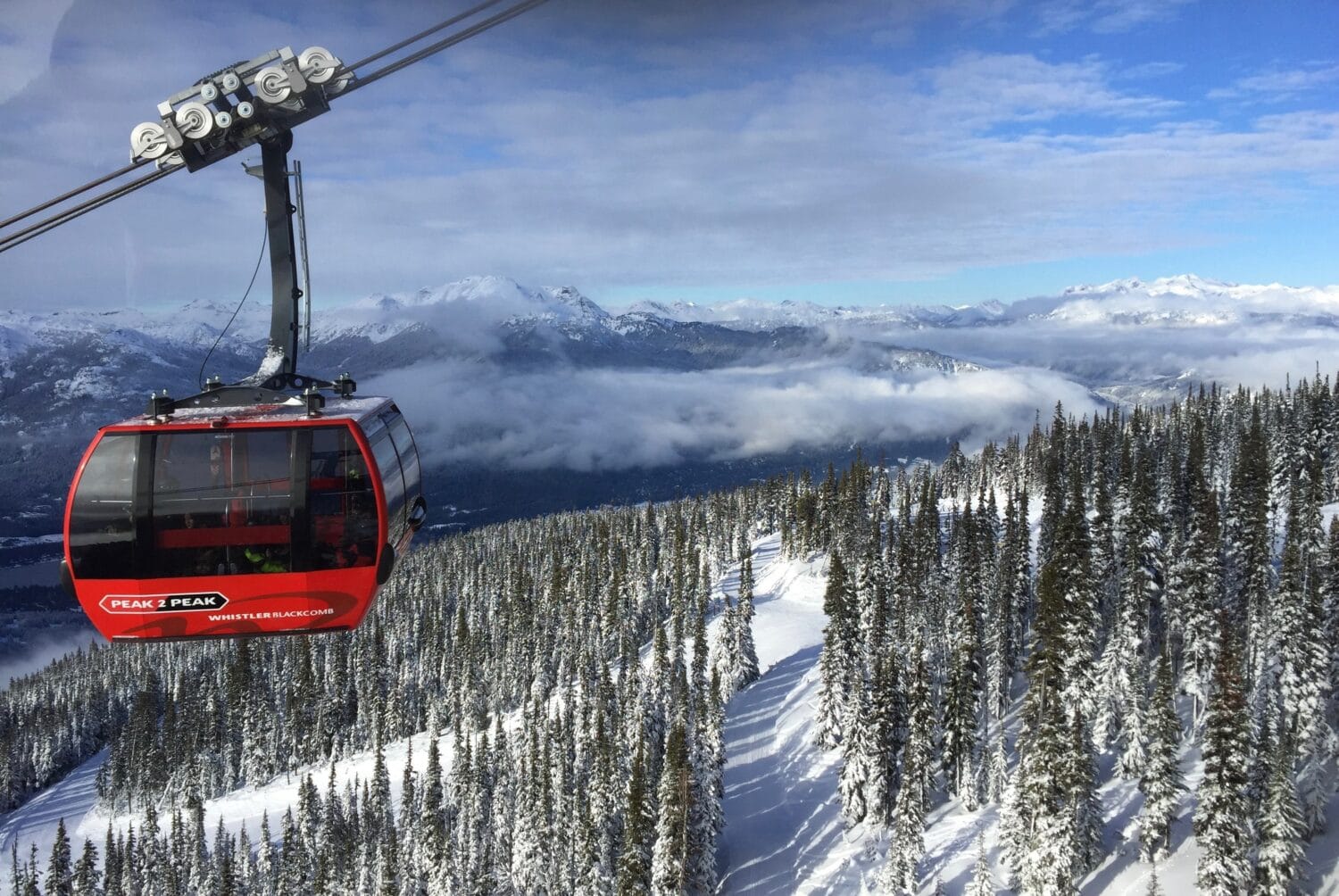 A cable car amidst snowy trees