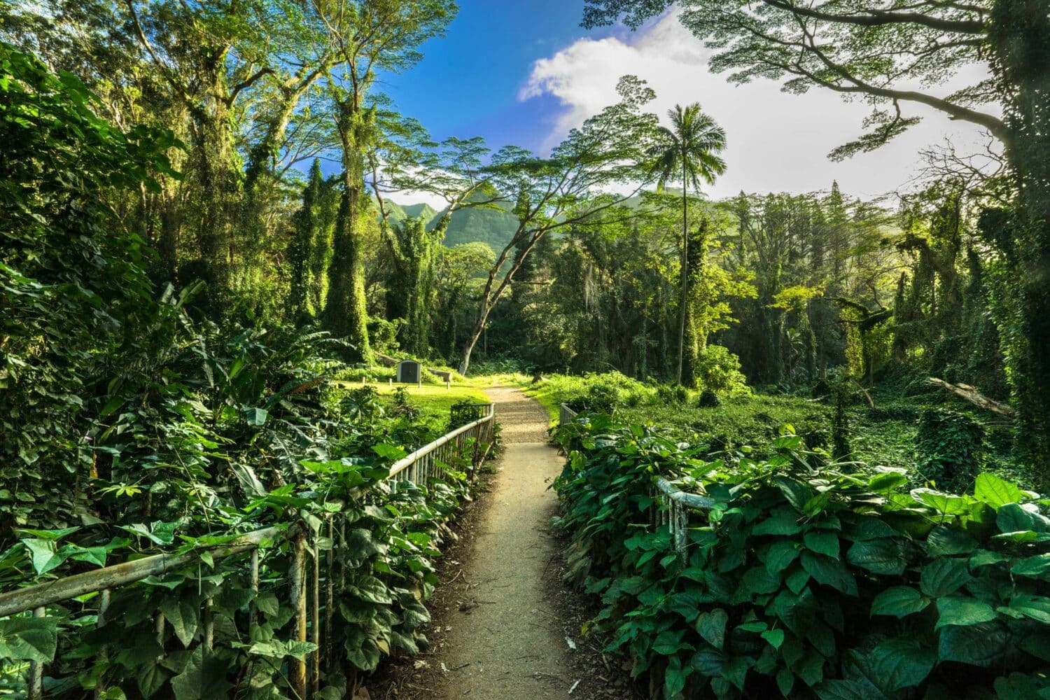 qué hacer en Honolulu
