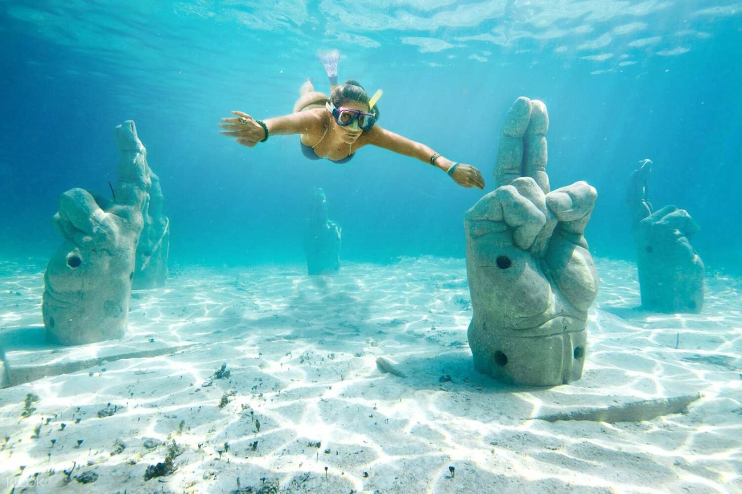 Parque Nacional Isla Contoy - Cancún