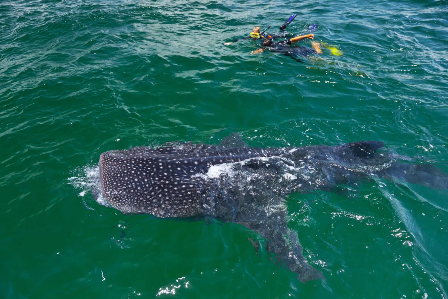 Isla de Holbox