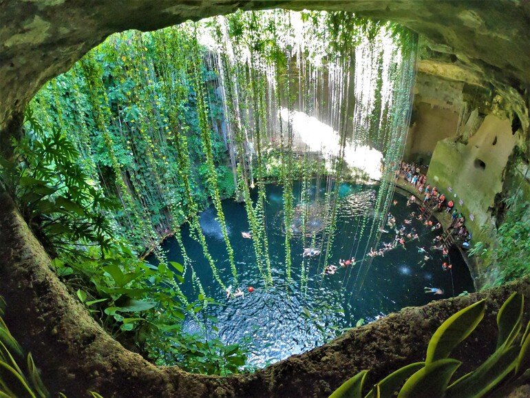 Los mejores 5 Cenotes de playa del Carmen