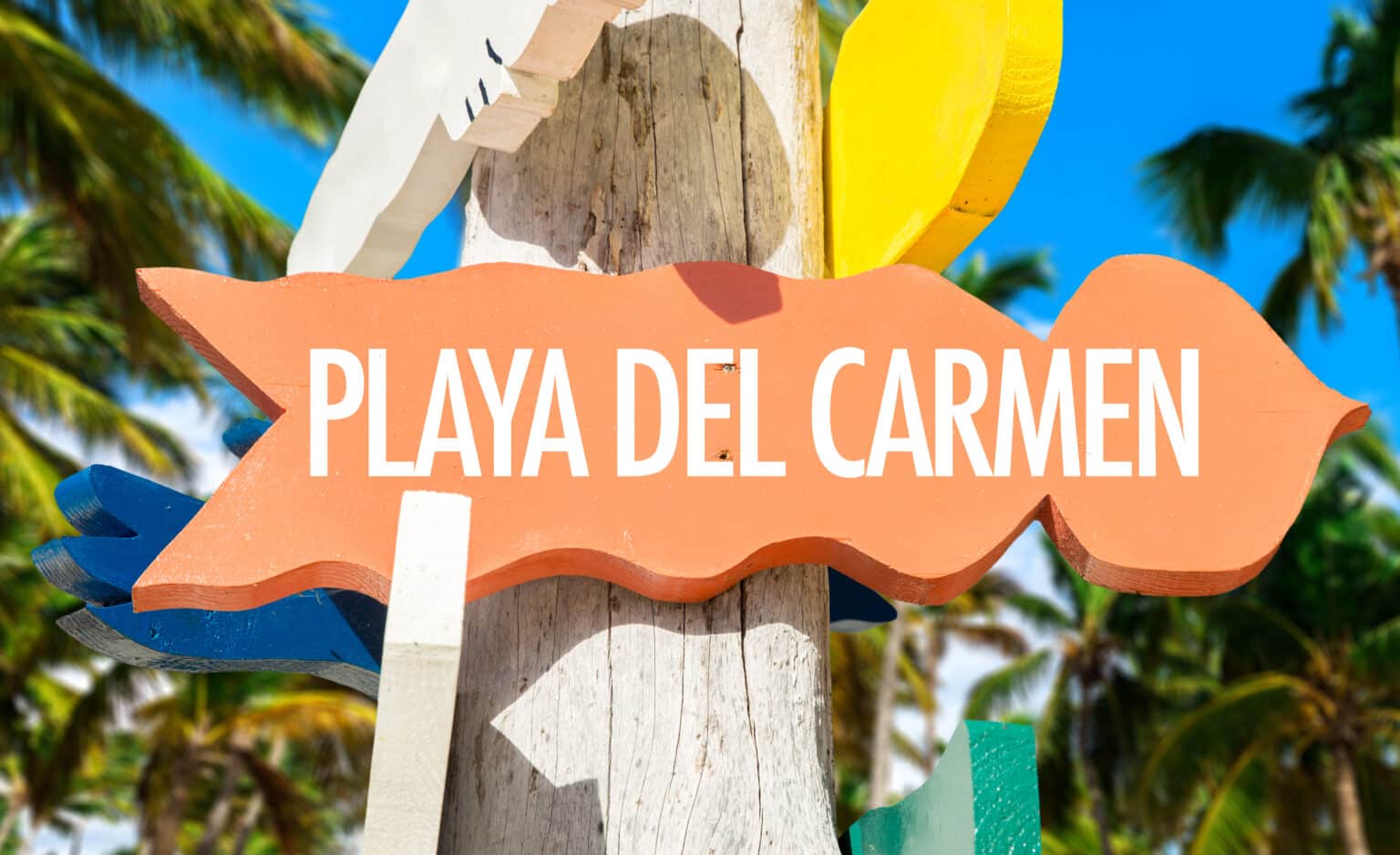 ¿Cómo llegar de Cancún a Playa del Carmen?