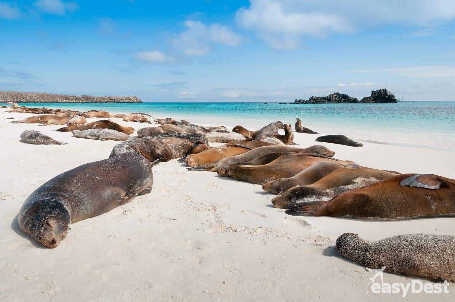 Las 10 cosas que ver y hacer en Galápagos